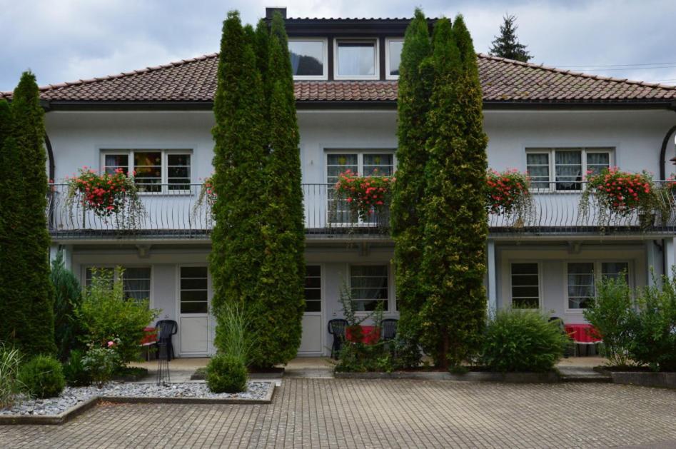 Gaestehaus Schoenwaelder Beuron Ngoại thất bức ảnh